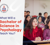 What will a Bachelor of Science in Psychology Teach You?